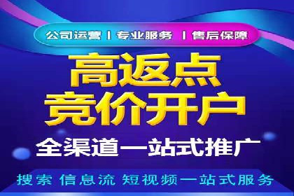 百度竞价推广案例：行业领军者成长故事